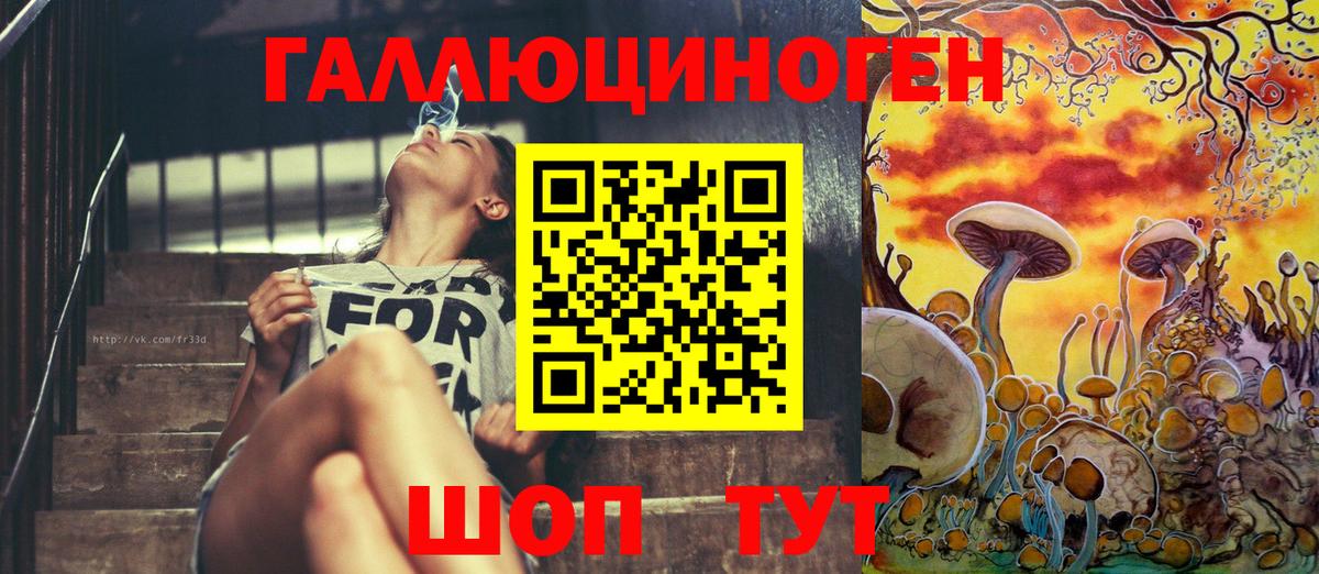 Псилоцибиновые грибы Psilocybe Усть-Илимск